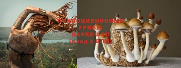 дурь Алзамай